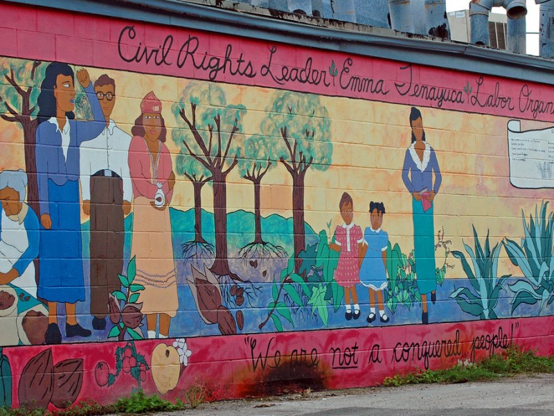 The Mexican Question in the Southwest | Reprint with&nbsp;Introduction